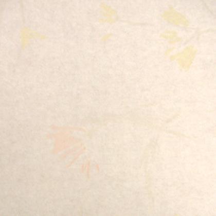 ���ĥ�ؤ������顼�����Τ�����ĥ���ؤ���